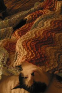 Appreciative black and white cat snuggled under a feather and fan blanket in variegated mauve, cream and green colors.